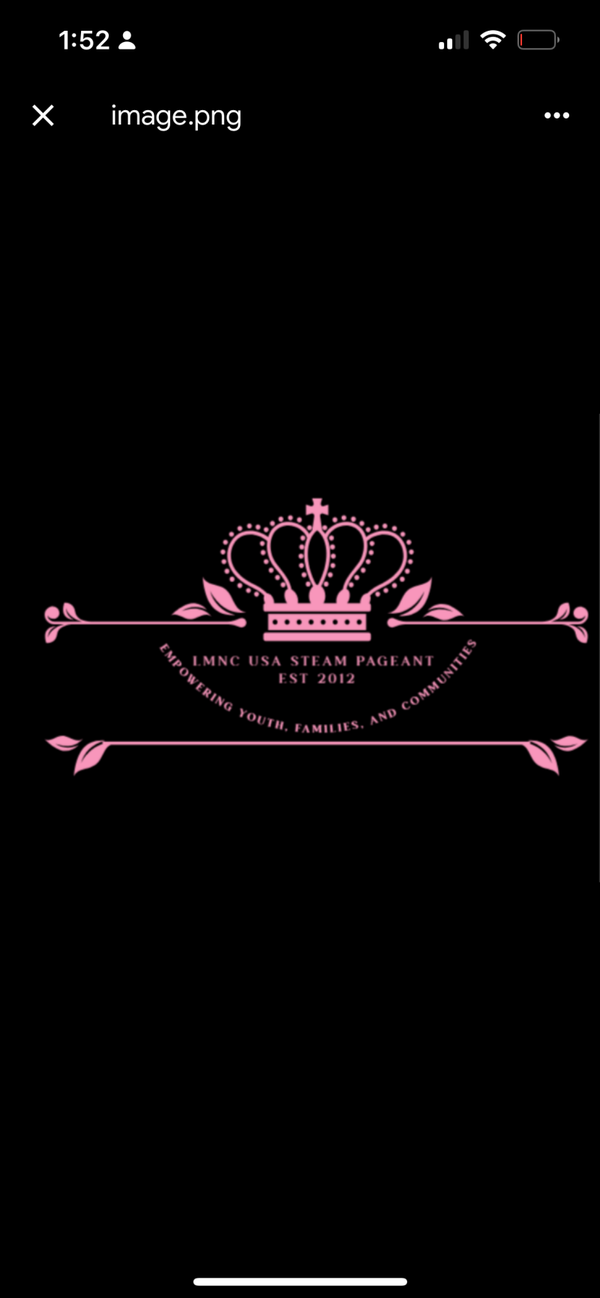 LMNC USA T-Shirt (Black)