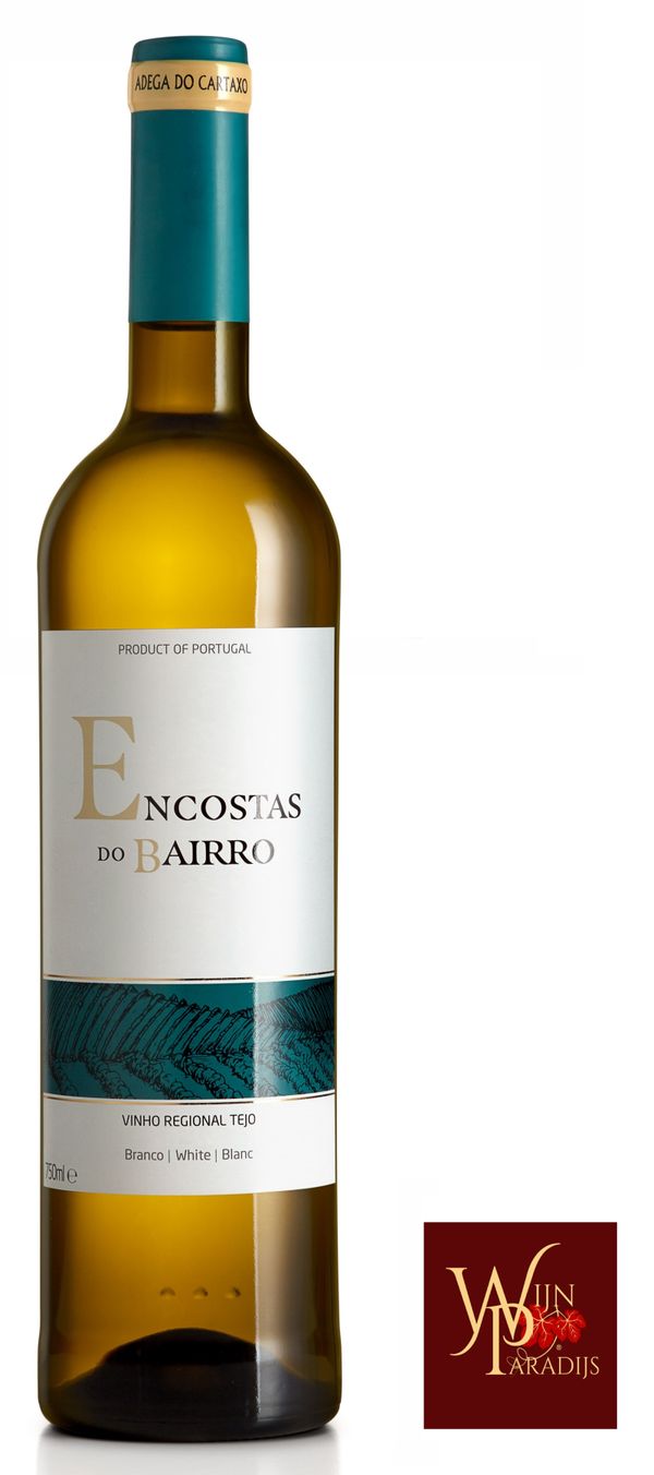 ENCOSTAS DO BAIRRO BRANCO 2022 REGIONAL TEJO
