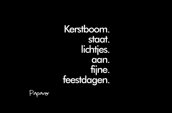 Lichtpuntje Kerstboom staat