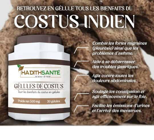 COSTUS INDIEN