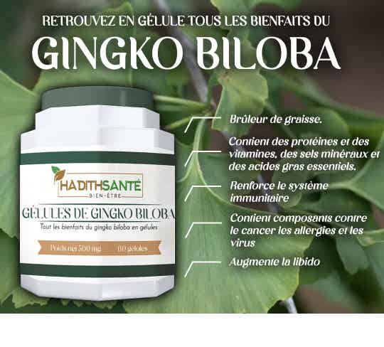 GINGKO BILOBA