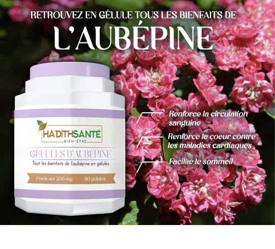 L'AUBEPINE