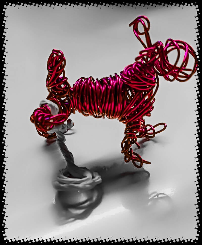 psx_20230208_174955.jpg