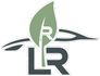LeafRoute Rentals