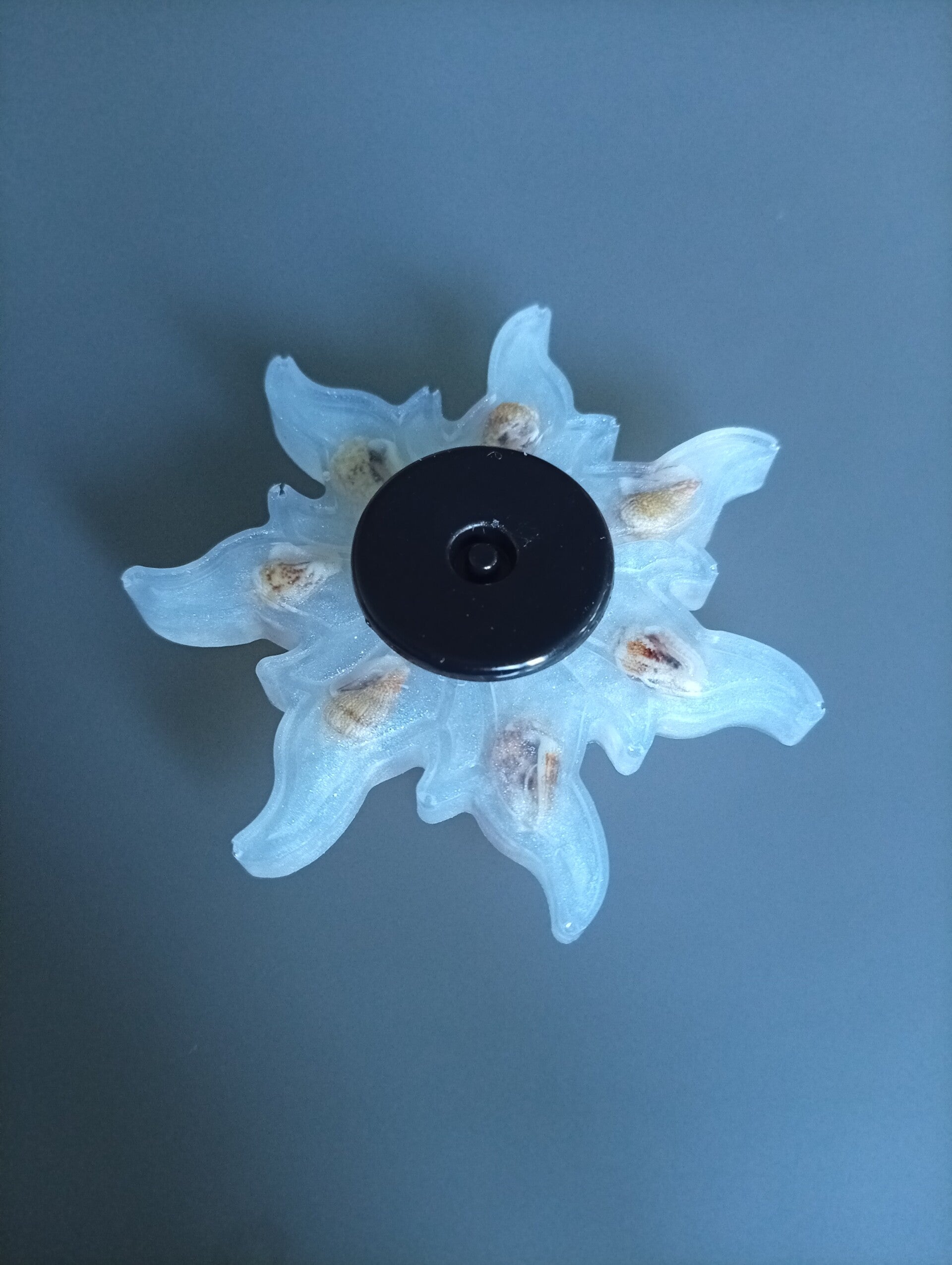 Spinner coquillages phosphorescent