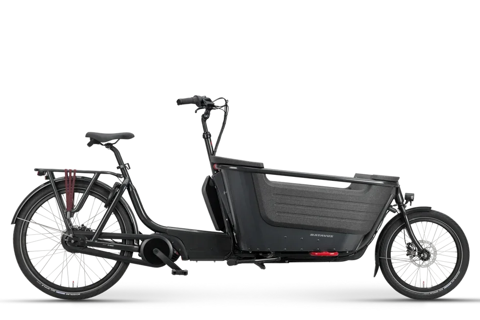 Batavus Fier 2