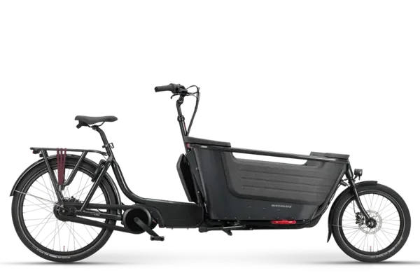 Batavus Fier 2