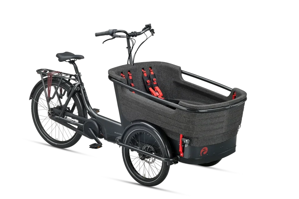 Batavus Fier 3 Enviolo