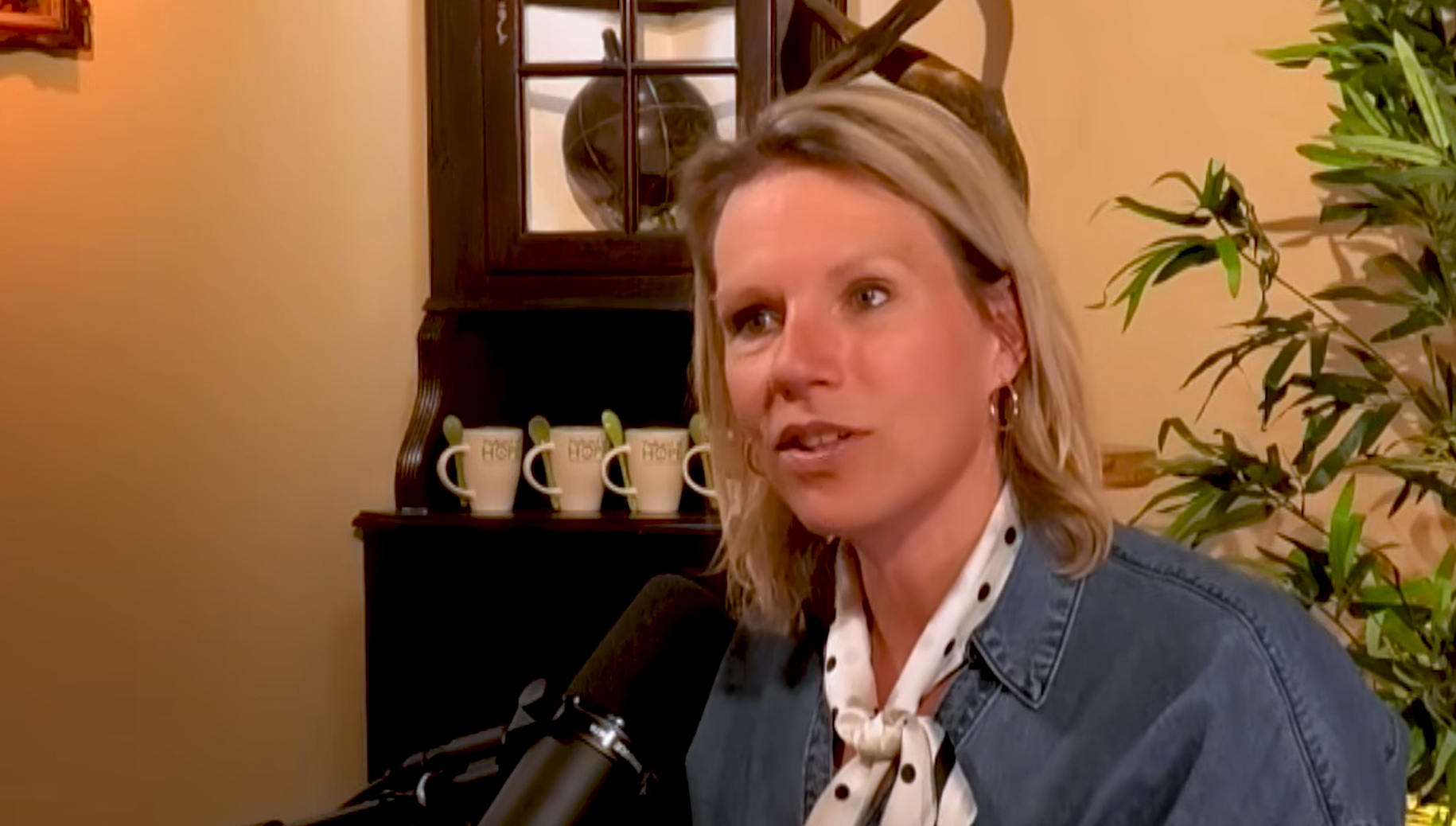 Esther Vergeer podcast