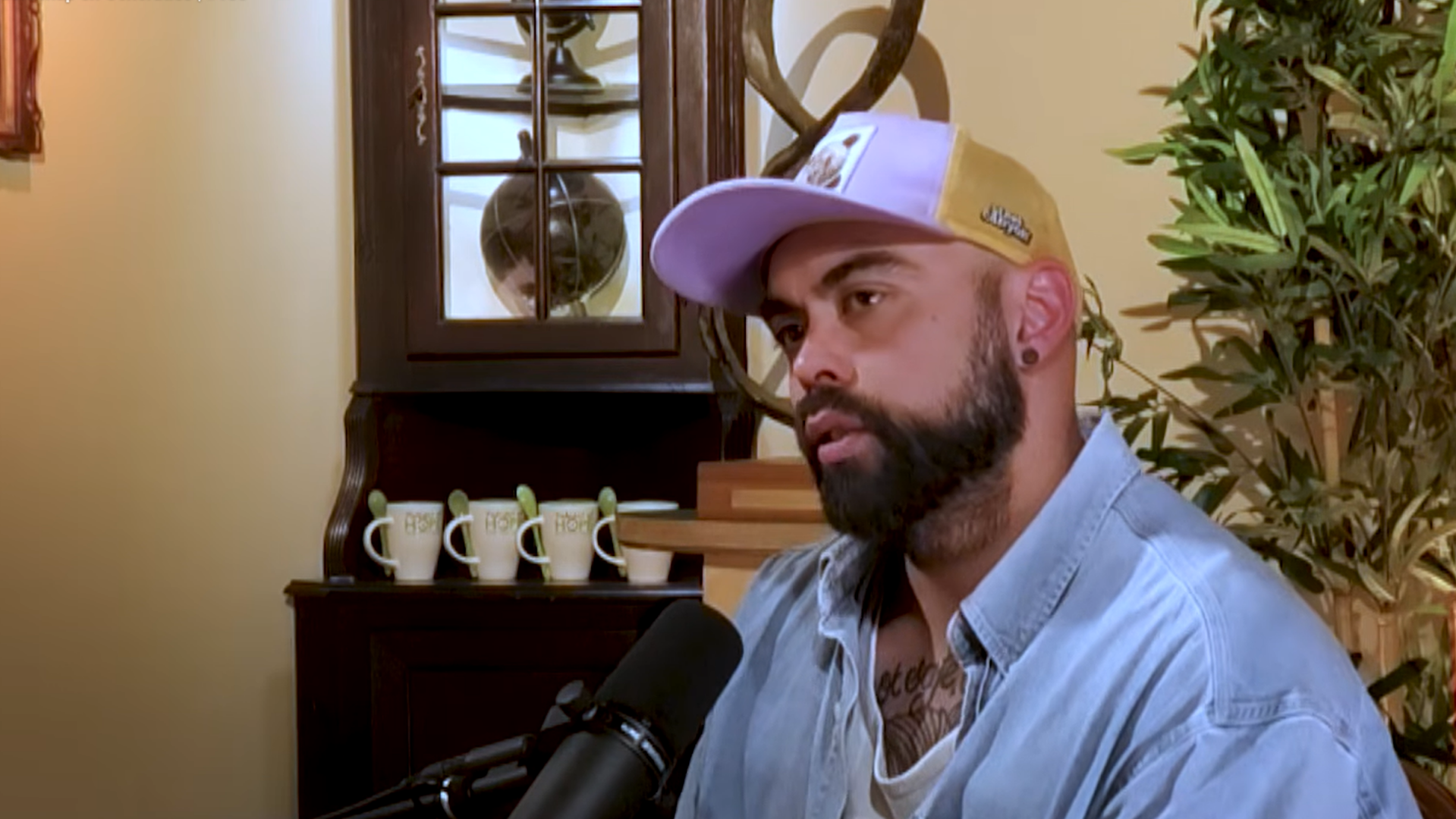  Stephen van der Leij podcast
