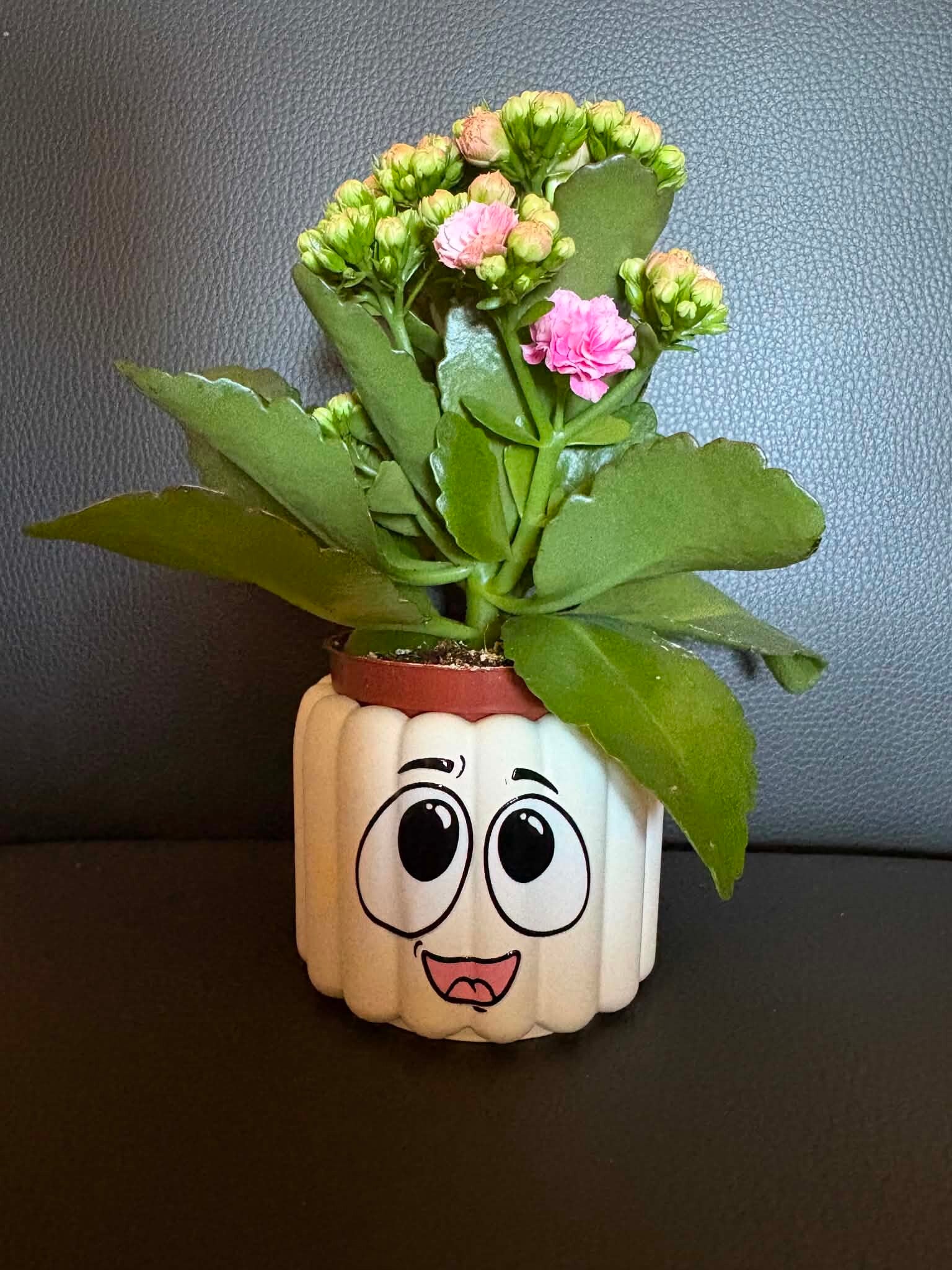 Happy Face