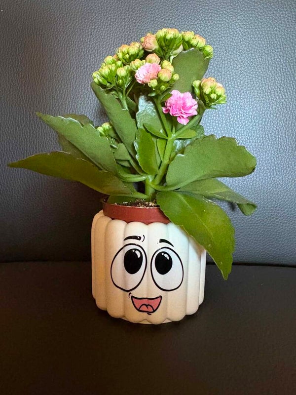 Happy Face