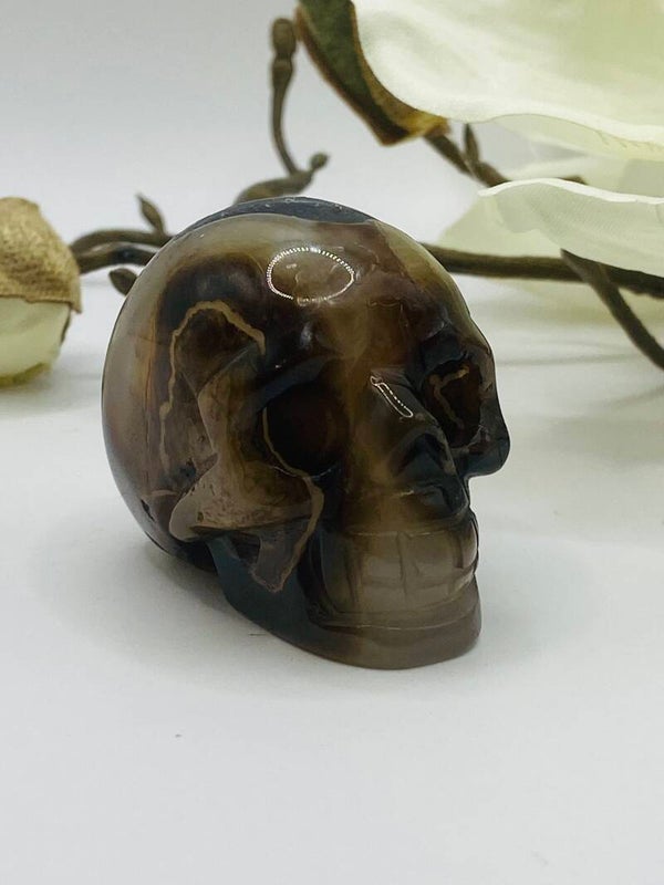 Brauner Achat Totenkopf 💀 mit Druzy