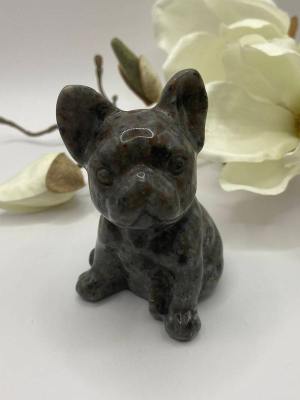 Orange Leuchtender Stein Bulldogge