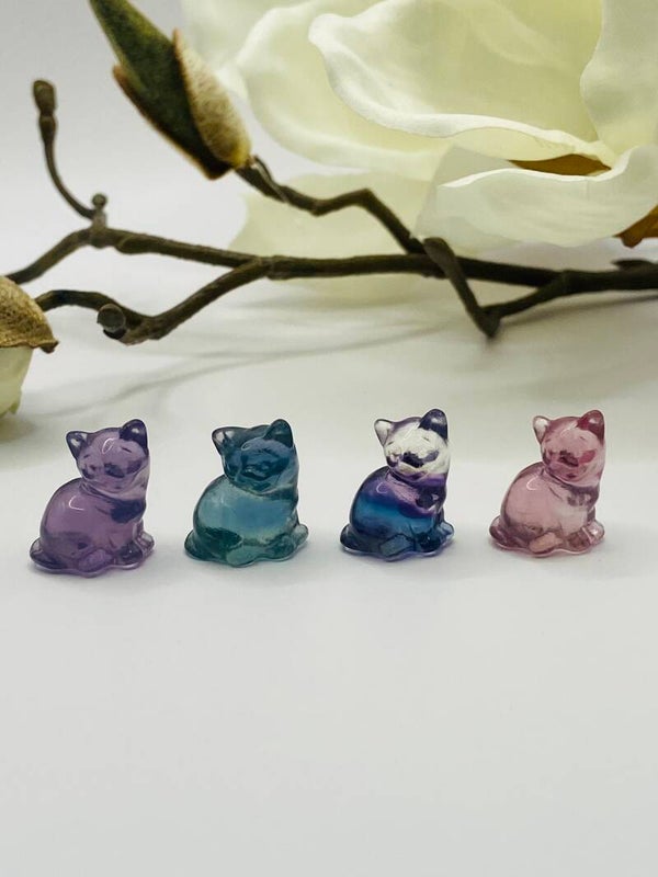 Mini Flourit Kätzchen