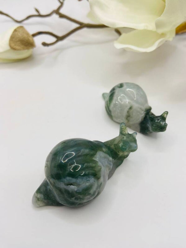 Moosachat Schnecke 🐌