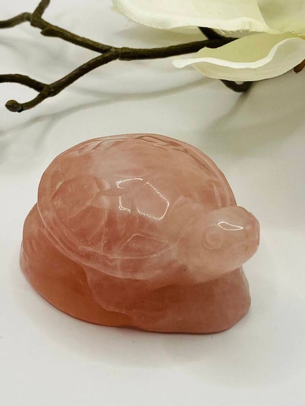 Rosenquarz Schildkröte 🐢
