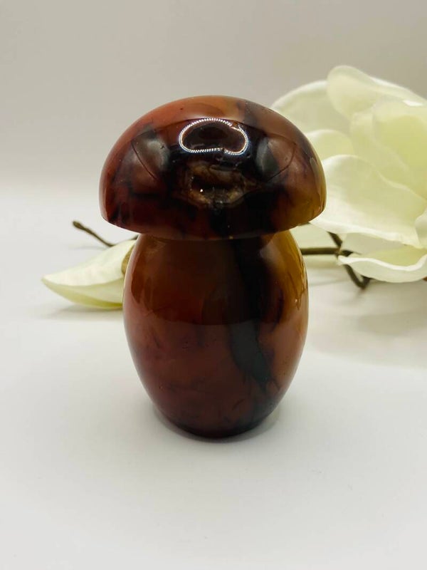 Großer Carneol Pilz 🍄