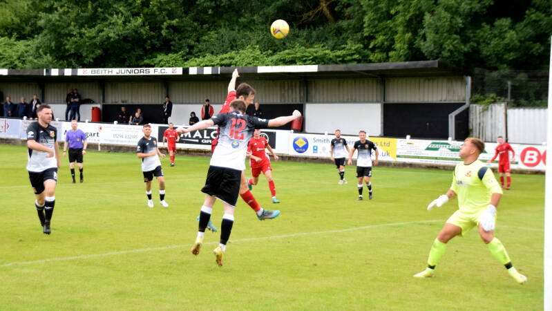 dsc_0330jpg-1.jpg
