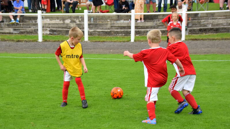 dsc_0377jpg-5.jpg