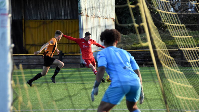 dsc_2263jpg-1.jpg