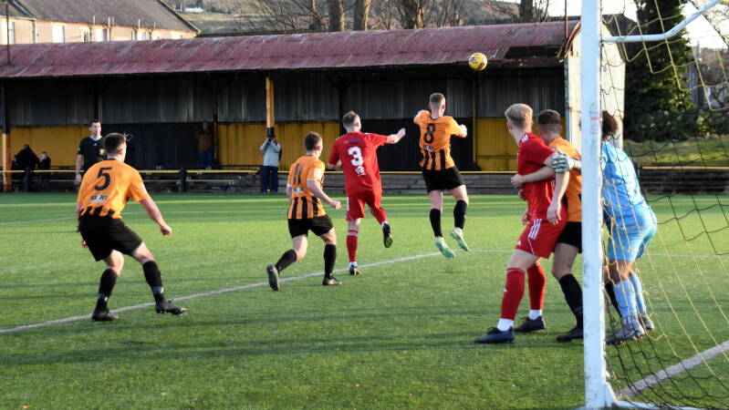dsc_2266jpg-1.jpg