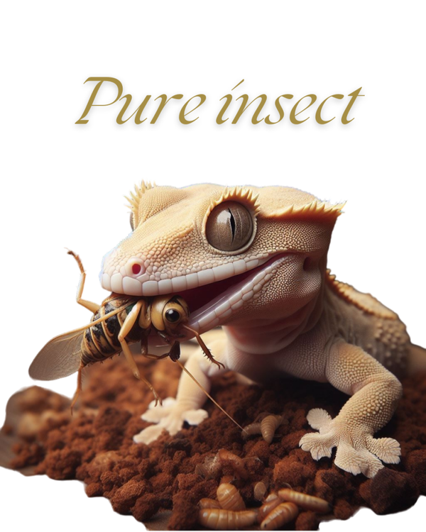 Pure Insect