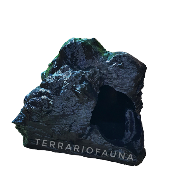 Cueva negra