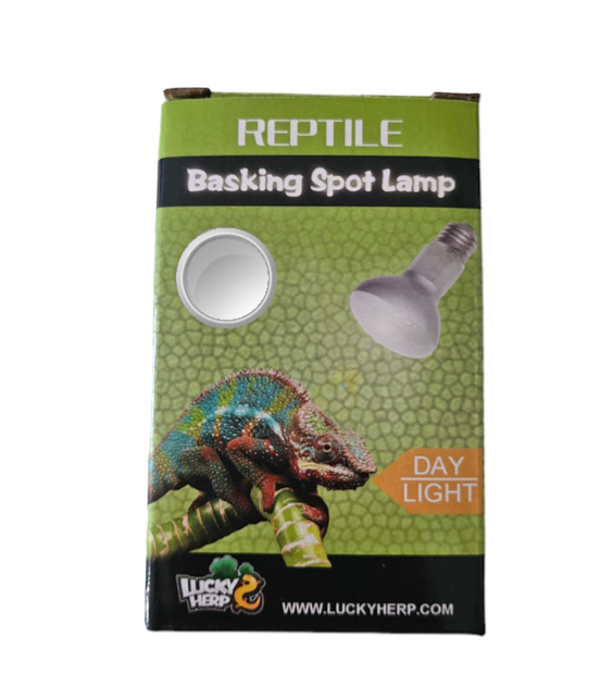 Basking spot