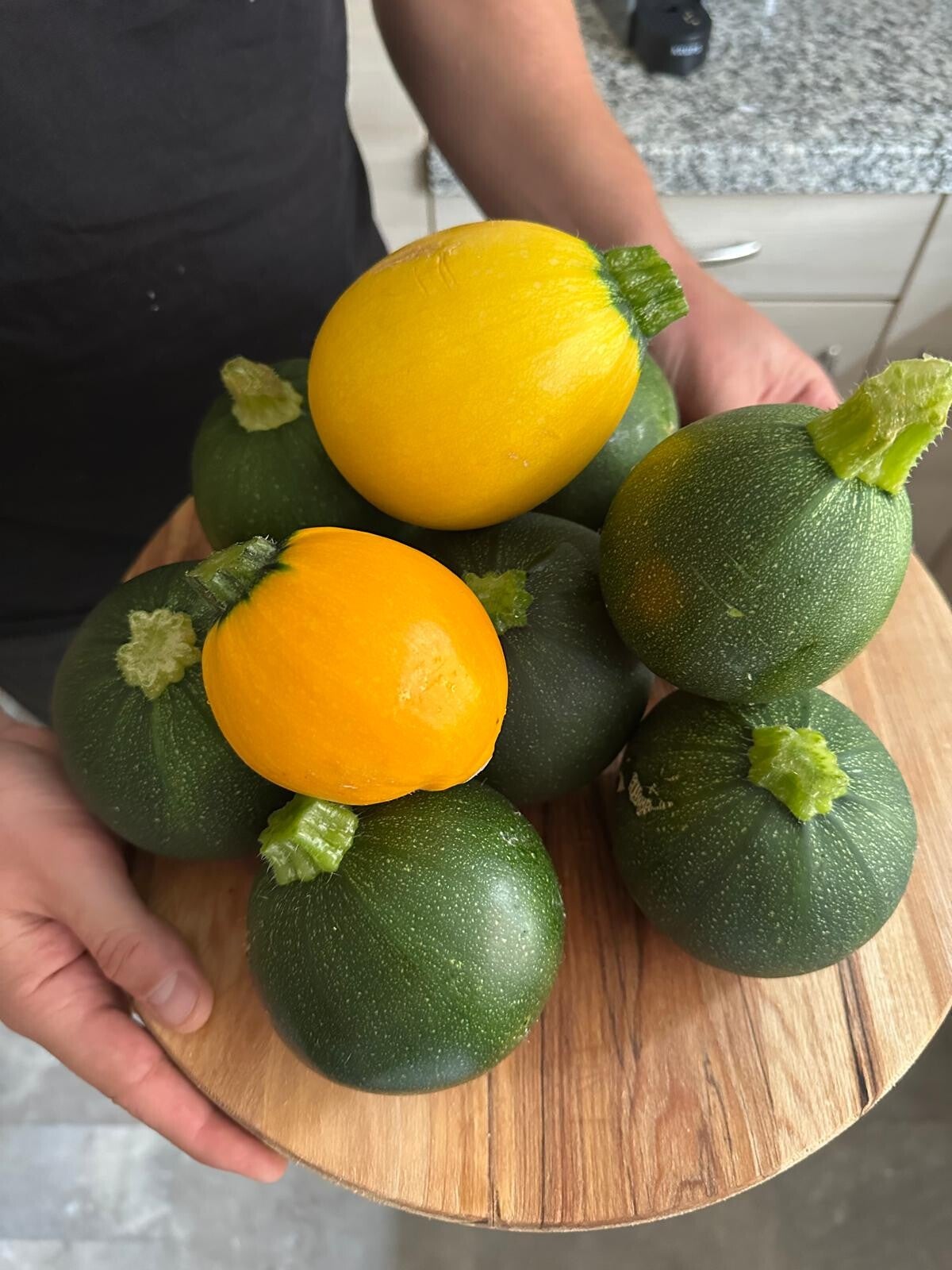 Eight Ball en Sun Ball courgette uit eigen moestuin