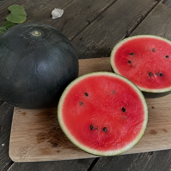 Watermeloen 'Sugar Baby'
