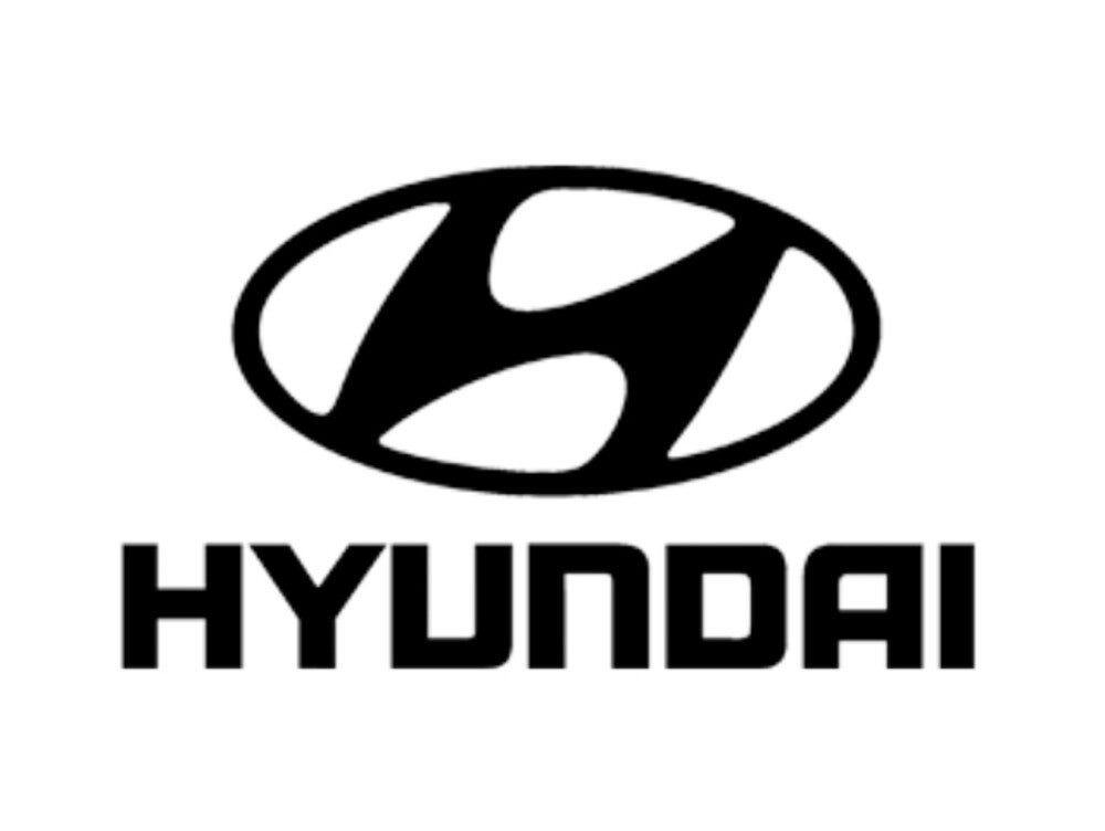 Hyundai bedrijfswagen laadruimte bescherming