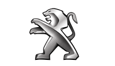 Peugeot bedrijfswagen laadruimte bescherming