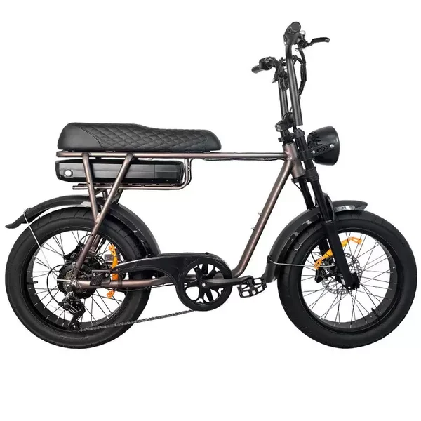 EB2 - Fatbike - Koffie