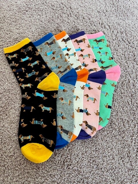 Sokkels" (sok + teckel, uniek en eigenwijs)