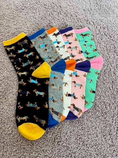 Sokkels" (sok + teckel, uniek en eigenwijs)