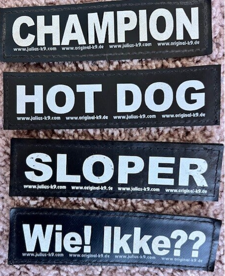 Julius-K9 Klittenbandlabels – Set van 4 Unieke Teksten