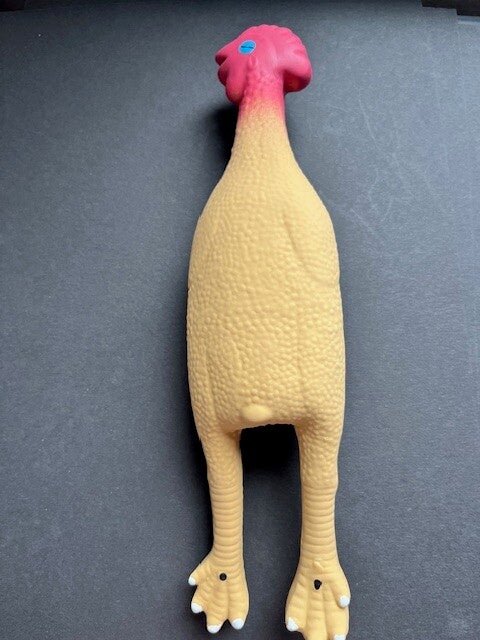 Piepkip of kalkoenkameraad