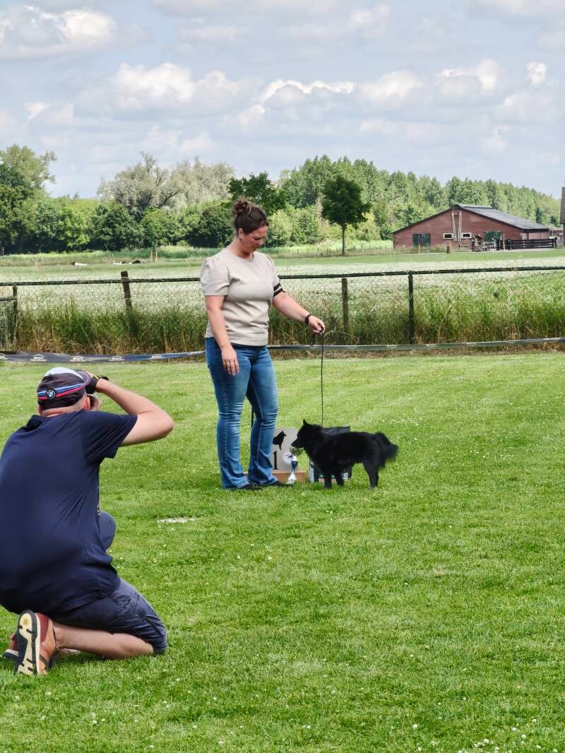KCM Schipperkes Vrienden Nederland Lector