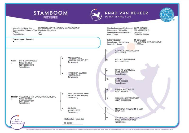 FCI stamboom hond
