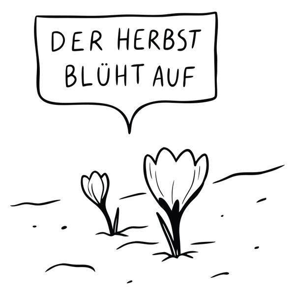Der Herbst Blüht auf - Herbst Sprüche