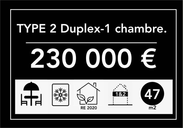 T2 DUPLEX TERRASSE