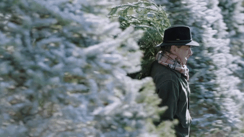 🌲 Two men carrying a snow‑covered Christmas tree from a field.