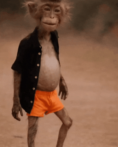 “Funny dancing monkey in orange shorts shaking its belly and arms playfully.”