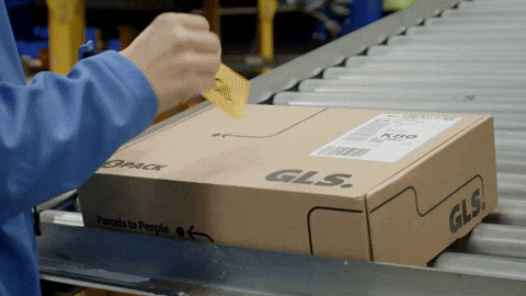 A Gif image of a pacel albel being ready for return