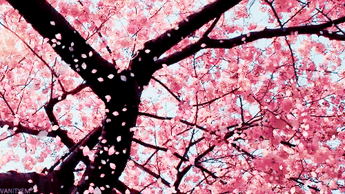 “Animated cherry blossom tree with pink petals falling.”