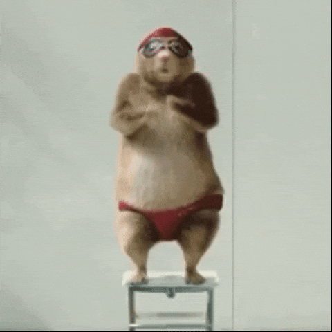 “Animated dancing animal character moving playfully on the home page.”