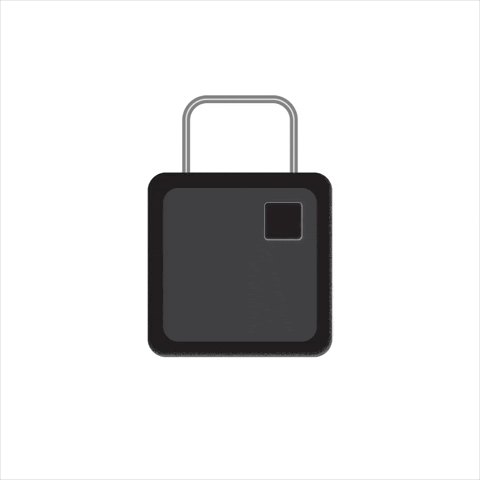 “Animated padlock icon representing privacy and data protection.”