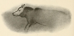 “Ancient cave art showing a dog‑shaped figure painted with natural pigments.”