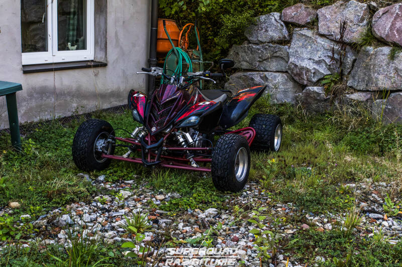 img_6617-standard.jpg